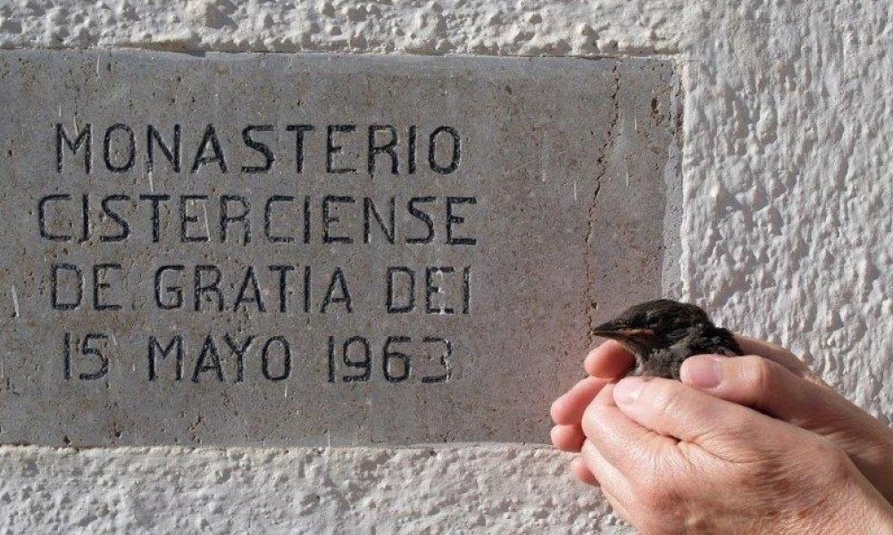 Nuestro Monasterio
